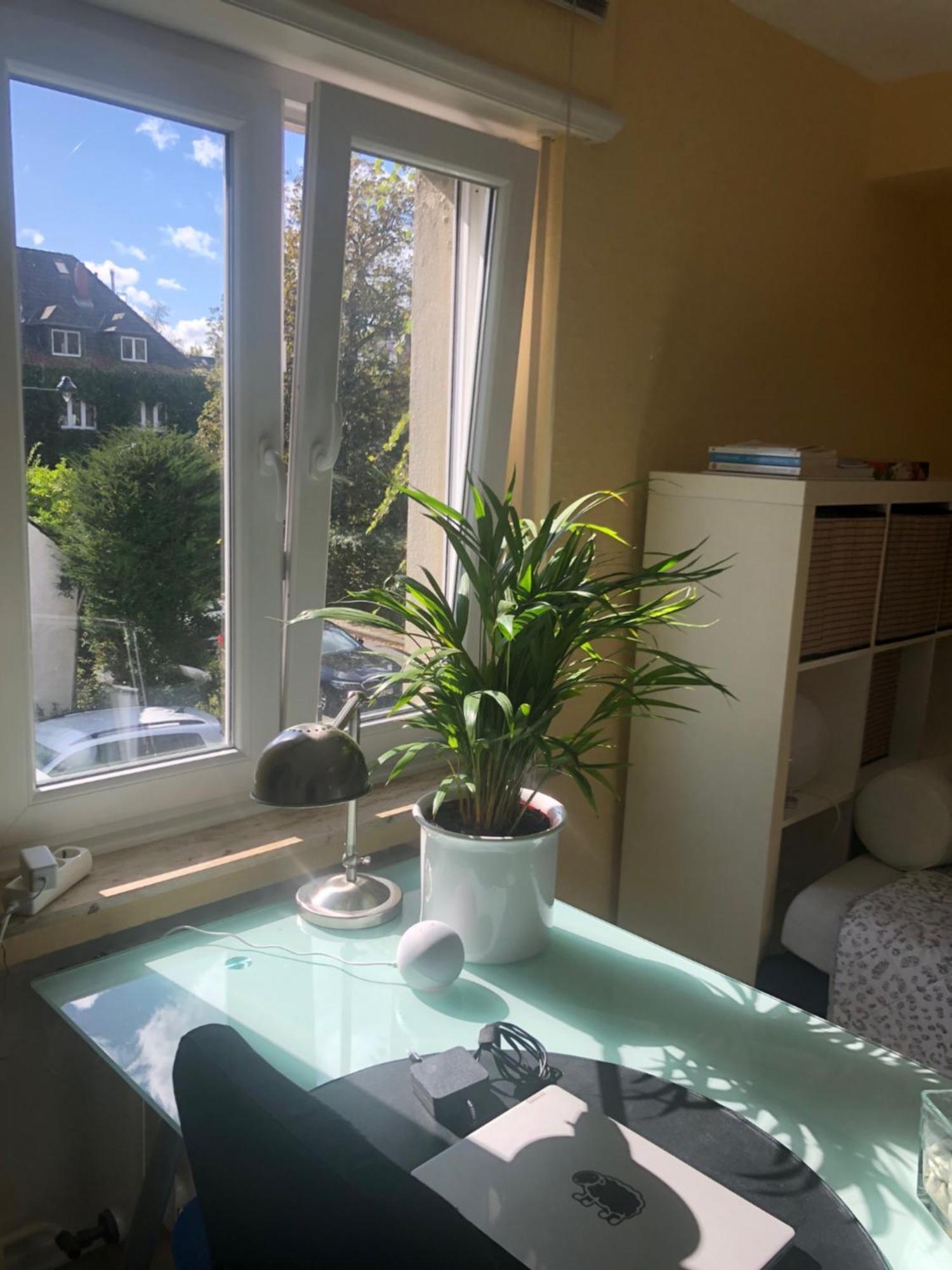 Ferienwohnung Glueck In Benrath Düsseldorf Exterior foto